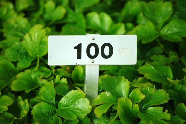 The Law of 100